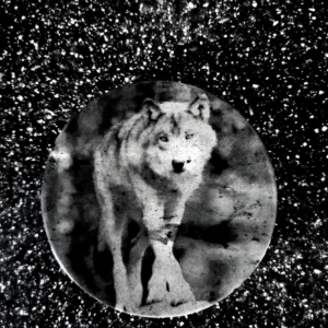 Customisable Laser Engraved Circular Slate Coaster