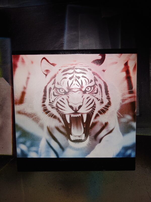 creopop dot co dot uk tiger engraved on tile image