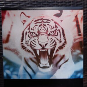 creopop dot co dot uk tiger engraved on tile image