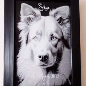 Pet Memorial Laser Engraved Glass In Frame image
